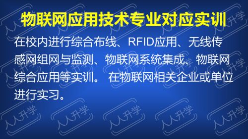 福建信息职业技术学院“双高计划”背景下的王牌专业 信息技术咨询服务全解读